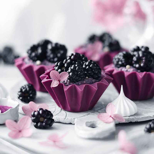 Suncore Foods Blackberry & Maqui Berry Chia Pudding in Chocolate Cups 