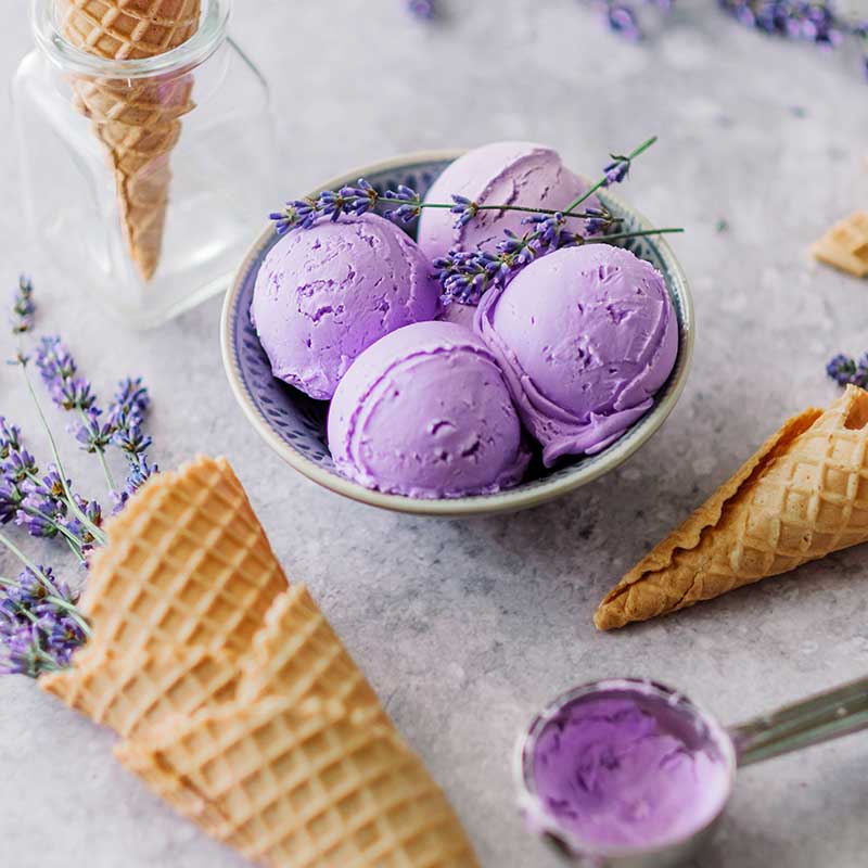 Lavender Flower Buds - Quality Blooms from Suncore Foods - Just $9.89! Shop now at Suncore Foods Inc.