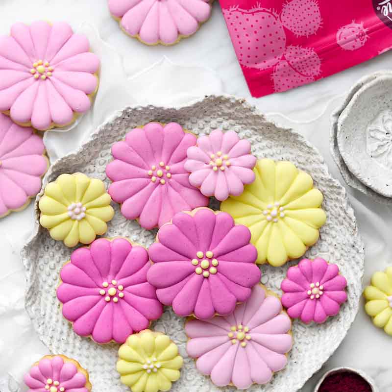 Cerise Prickly Pear Powder - Quality Powders & Flakes from Suncore Foods - Just $19.99! Shop now at Suncore Foods Inc.